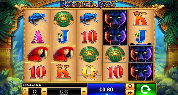 Panther Pays